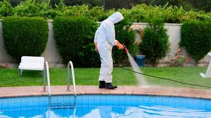 Pool Cleaning Services